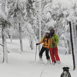 Meet your Posher, Jillian